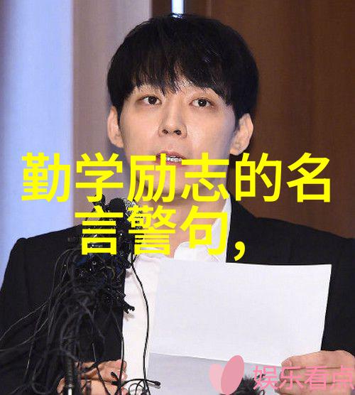 中国影视界的璀璨星光十位引领正能量的明星