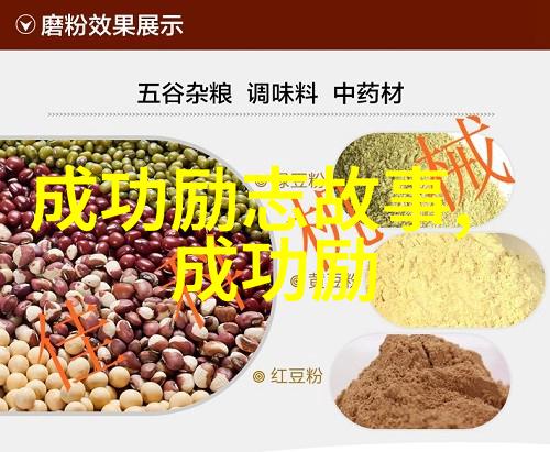 主题我眼中的中国最励志女人从一名农村女孩到成功企业家的人生传奇