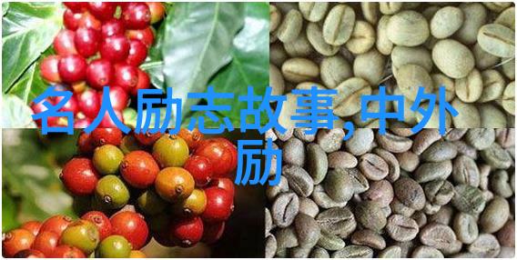米兰昆德拉生命的艺术与文学的追求