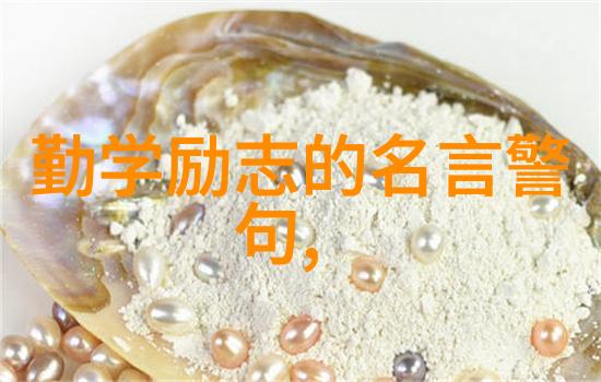 逆袭之星网红的光芒