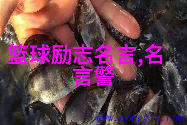 十年如一日春风得意马蹄疾一去不返的山川里爱你的故事