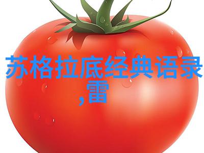 徐志摩的诗意生活风景下的哲思与情感流淌