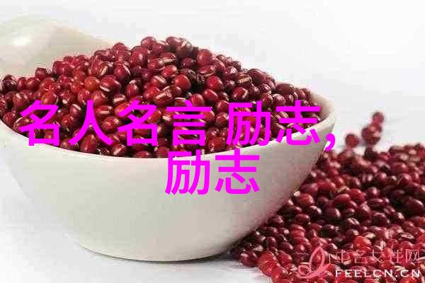 文言古语的智慧与现代生活的对话