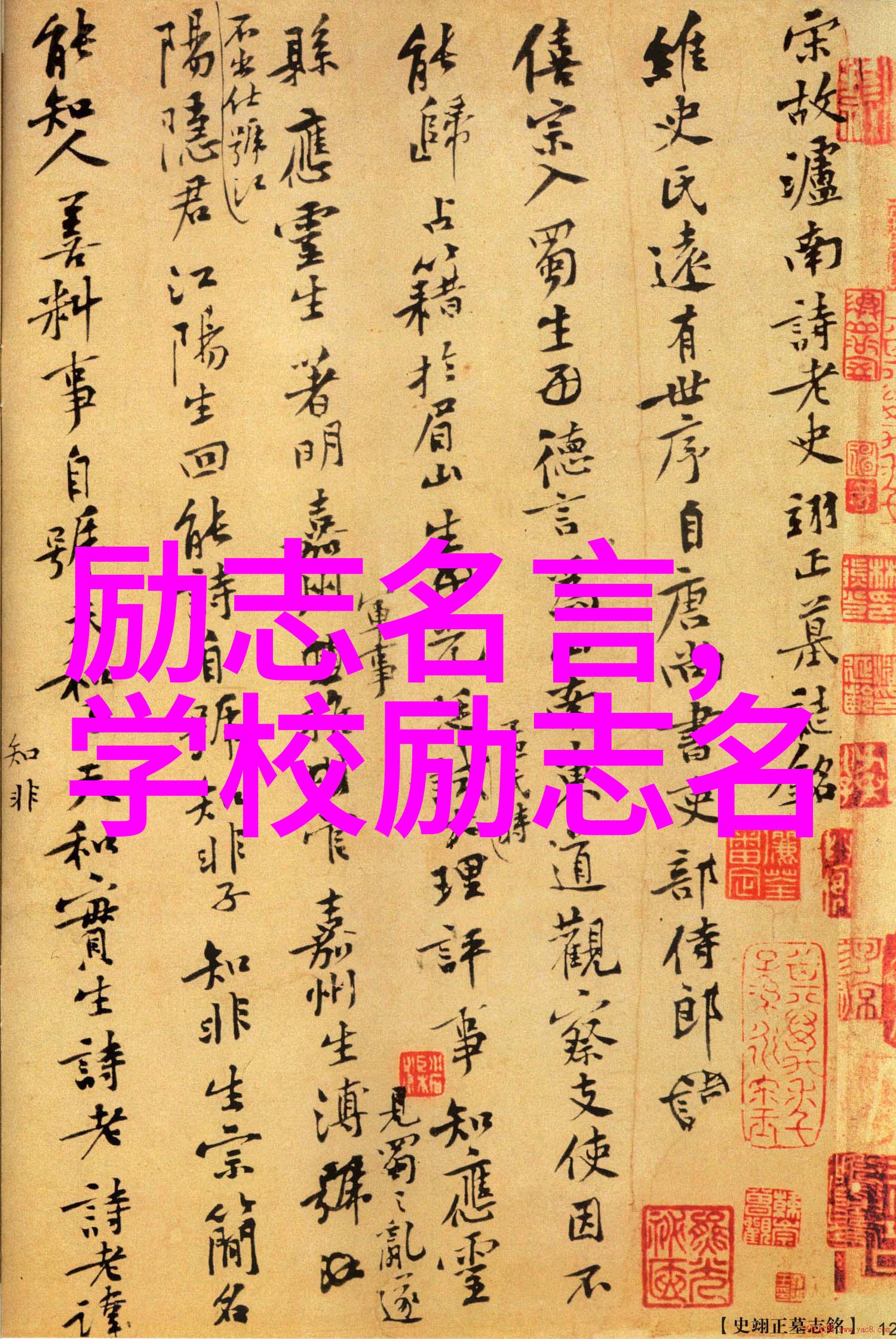 伟大历程成就与奋斗的传奇