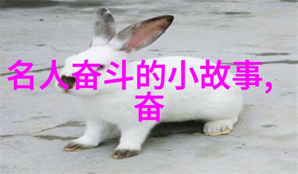 光与夜之恋揭秘出轨者无法掩饰的迹象