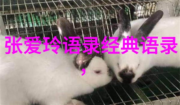 主题我为什么总是JEALOUSVUE进不去