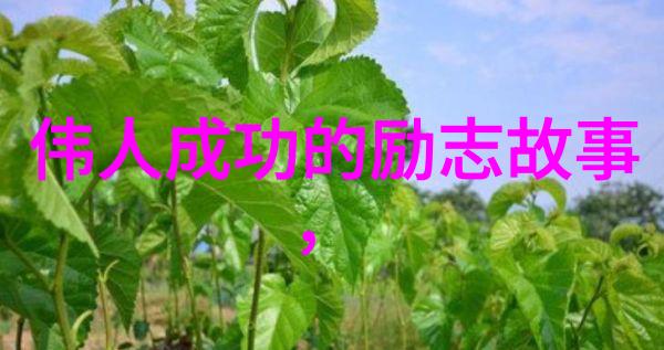 桃之梦徐梦桃的不屈奋斗