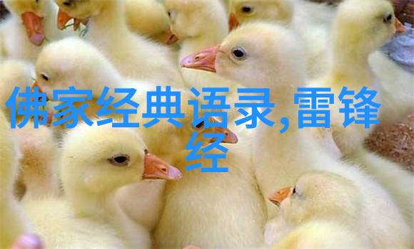 这些励志感人故事是如何改变我们的生活的