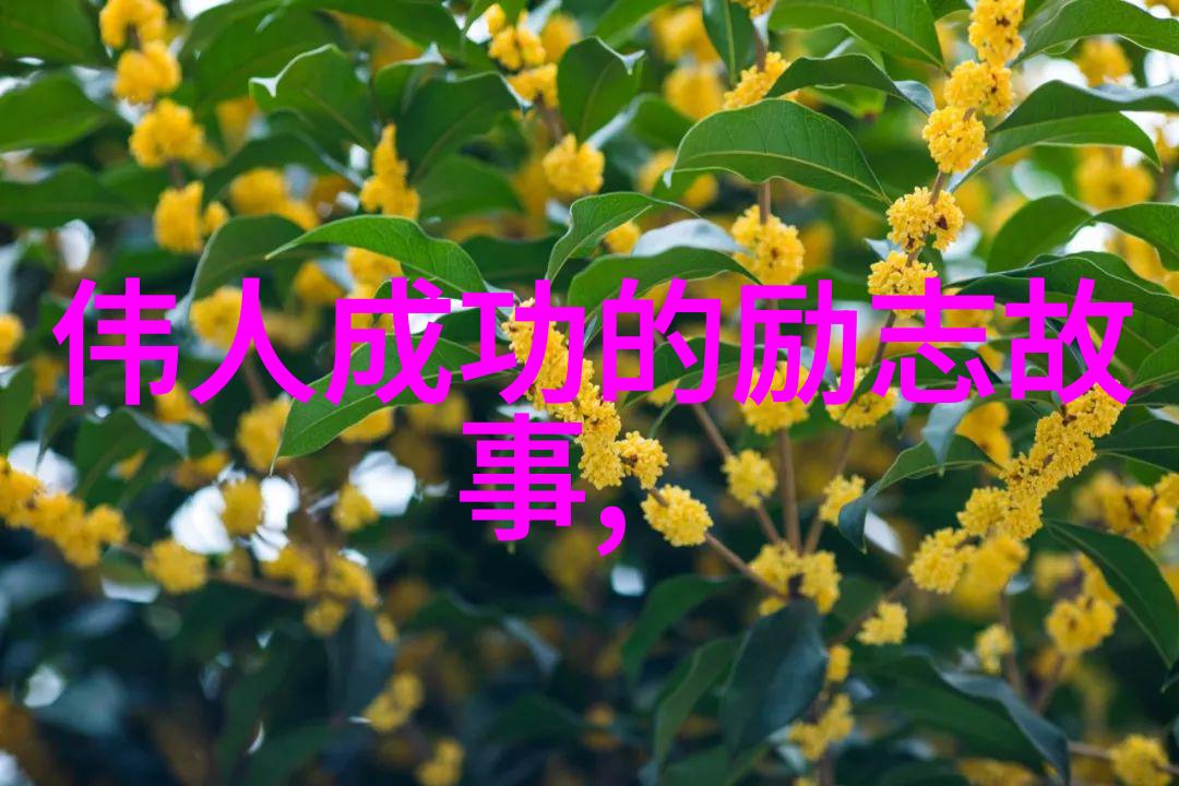 雪中悍刀行解读经典语录中的古代武侠哲学