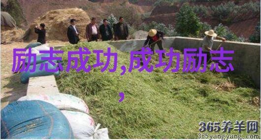 团队合作是最强大的武器马云关于团队建设的话语录