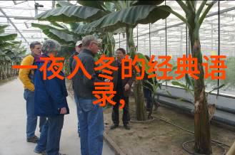 门锁电影凶手夜晚抱女主之谜深层心理探究