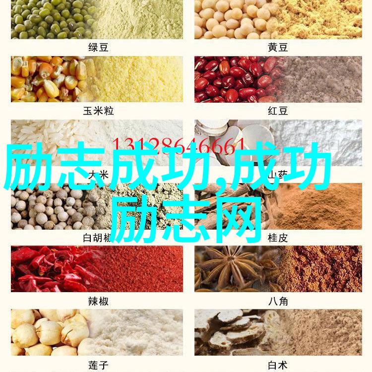 影城大亨笔趣阁追逐梦想的电影奇遇