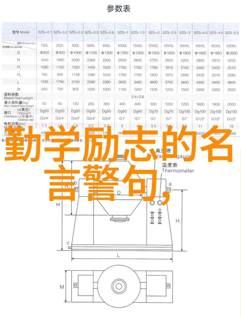 生于贫困死于成功何清的情报分析师之路