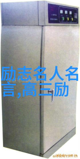 她曾是街头小贩如今却成为全球知名企业家