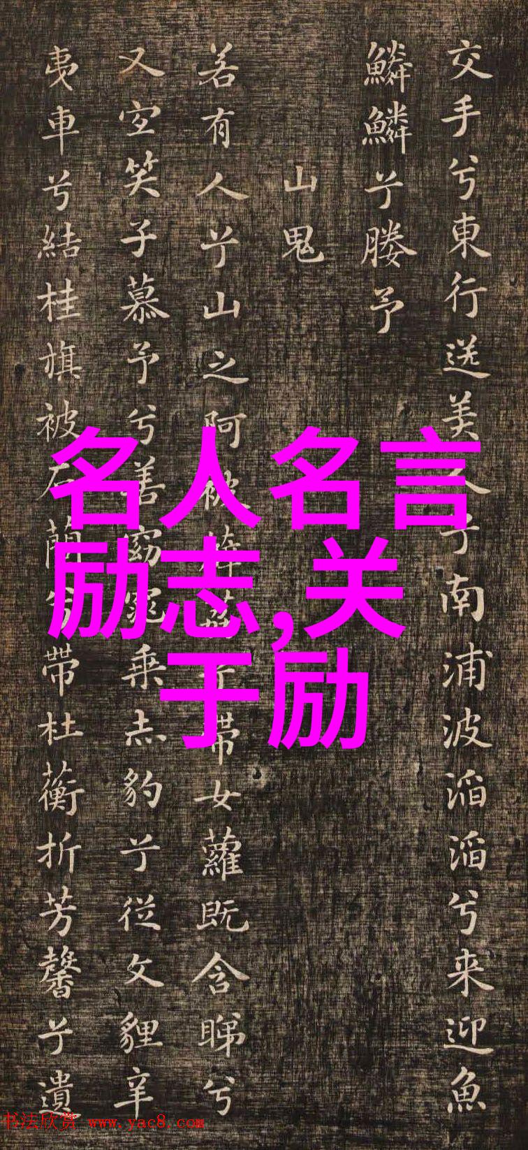 李易峰爱情公寓经典语录数据分析