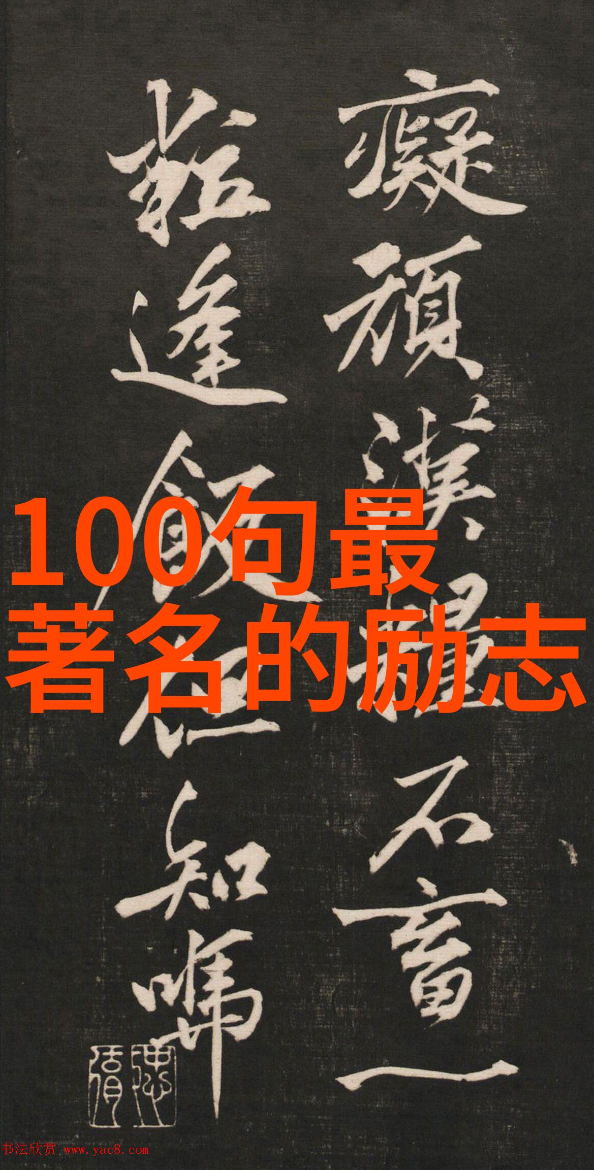 探索卓越世界上成功女性的典范与启示