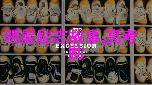 逆袭之王探索史泰龙的成功秘诀