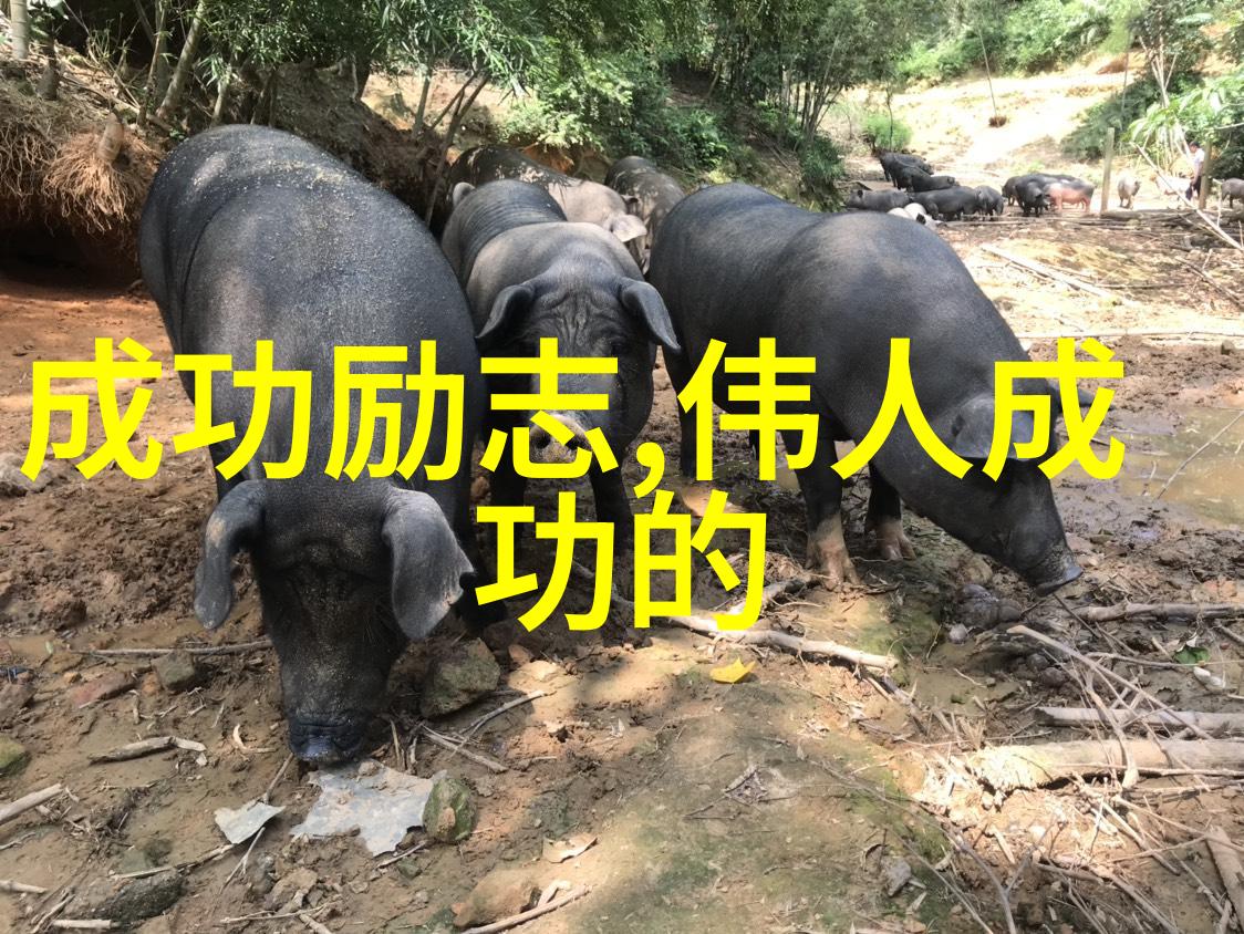 努力工作图片励志可爱图片我每天早上看到这张小朋友努力学习的照片就心情大好觉得自己也要更努力一些
