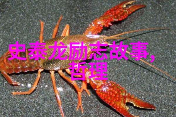 篮球梦想家科比布莱恩特的执着追求