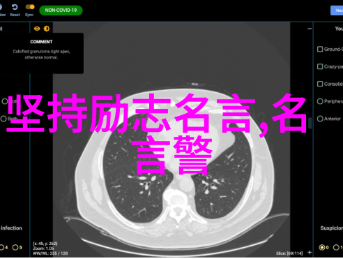 海贼王之最强副船长我就是那位让人闻风丧胆的黑影