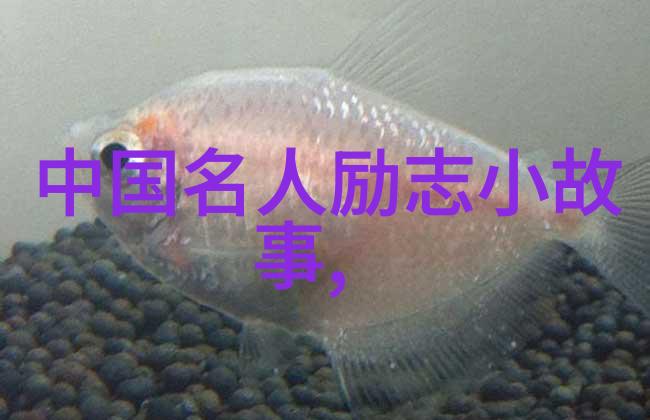 2022励志青年人物追梦者破浪者光芒中的守护者