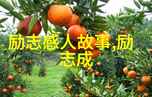曾经的辉煌大明星背后的职业生涯