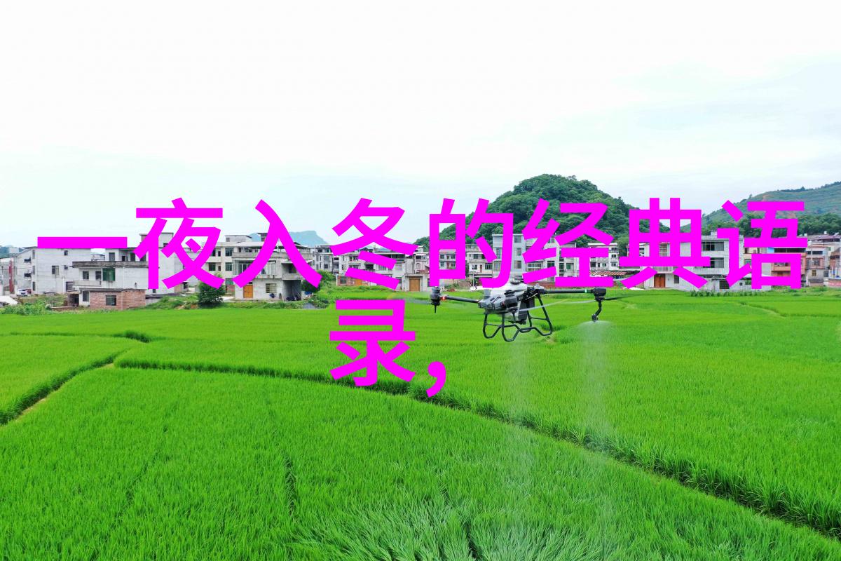 国外励志名言