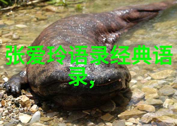 儿子一晚上要我三回怎么办呢-亲子关系中的性教育与沟通