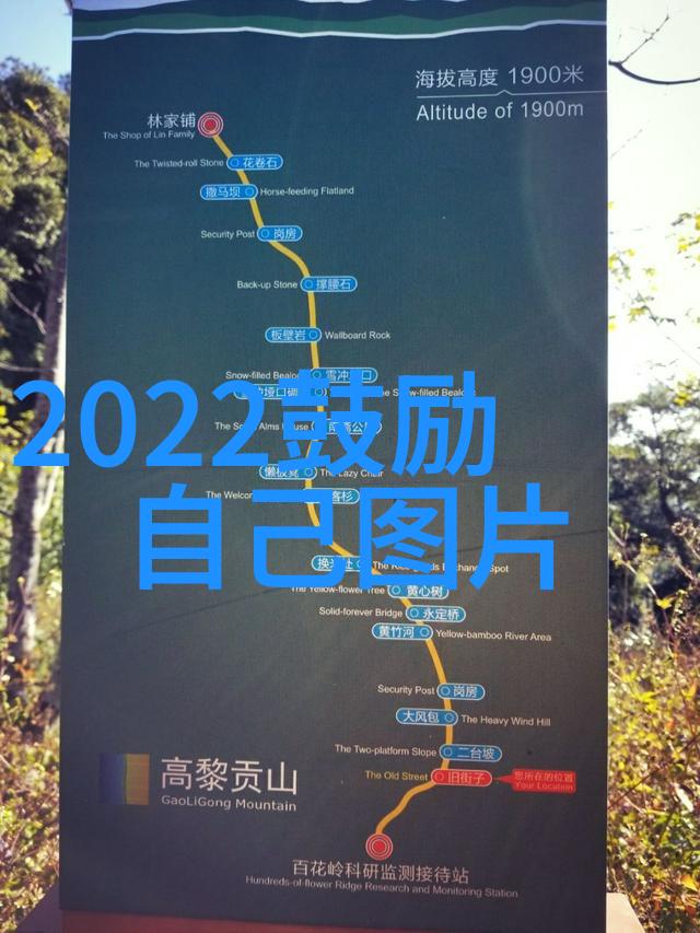 徐志摩经典语录追忆与启迪
