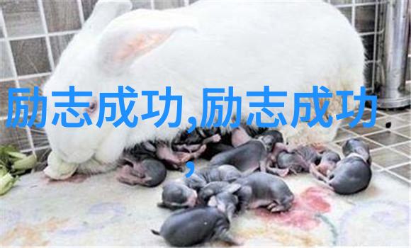 文人墨客挥毫泼墨的艺术之旅