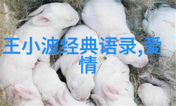青春不羁的风华名人的逆袭故事