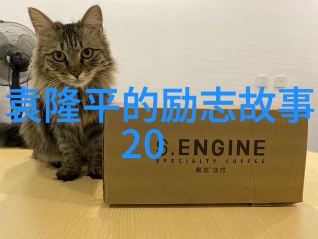 闵月芈月在车里的双重成功之美