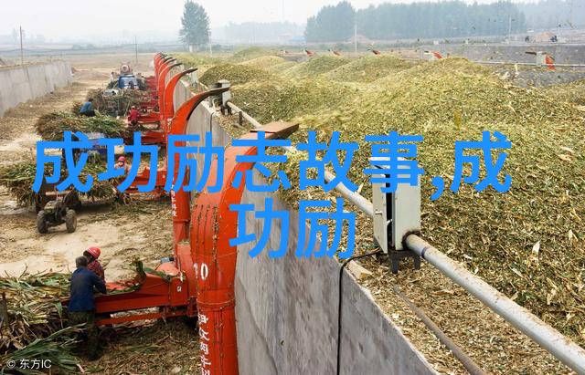 愿你在自然的怀抱中安好兄弟之友情岁月永恒