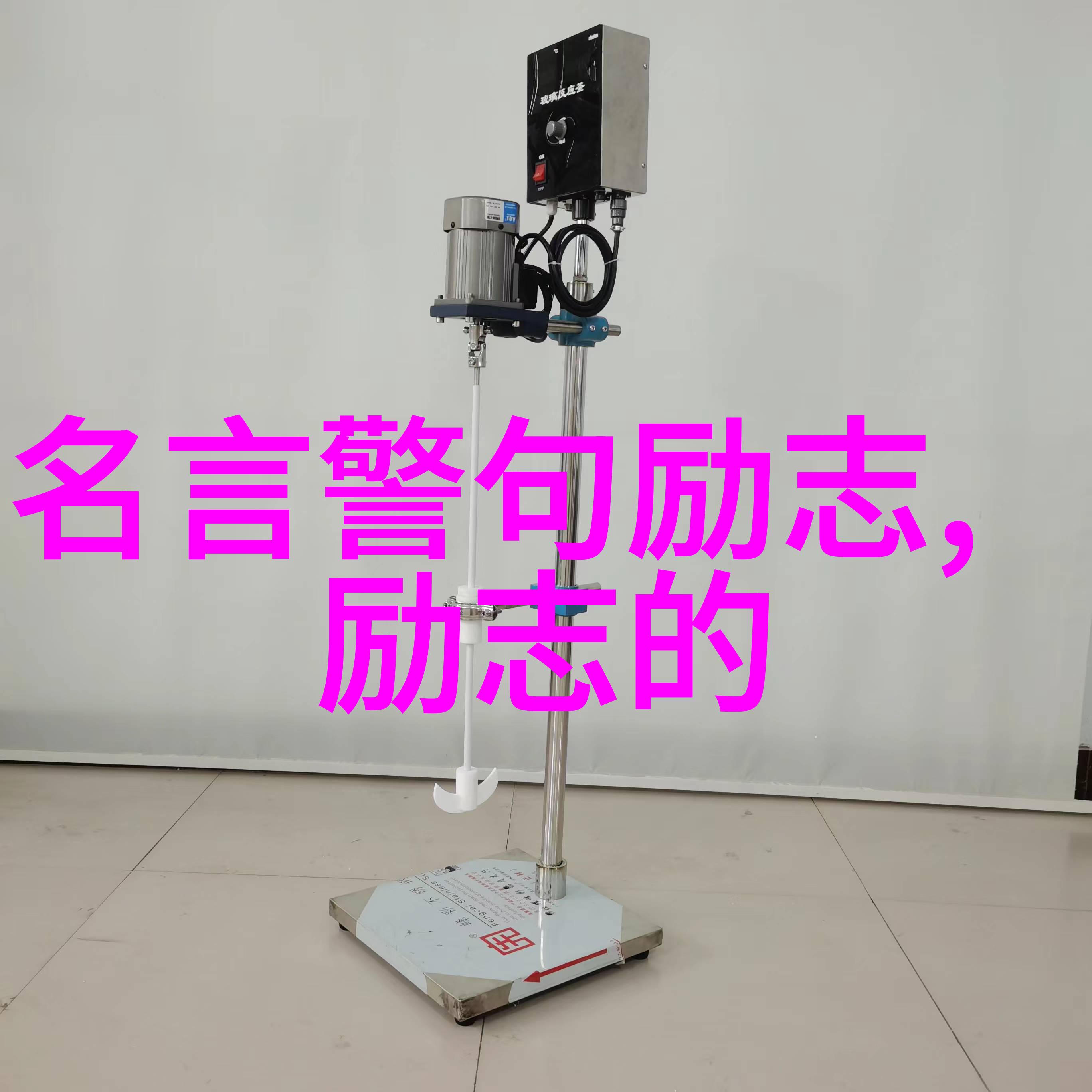 盛宠庶妃后宫争斗与爱情纠葛