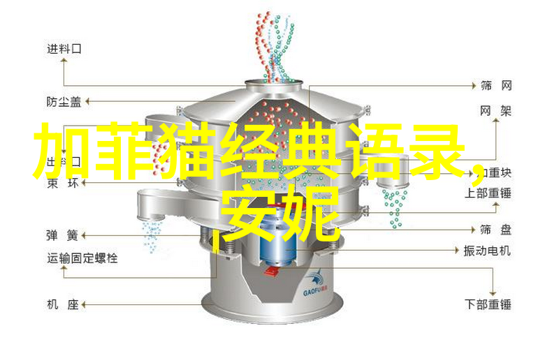 超越障碍实现梦想全球最励志人的故事