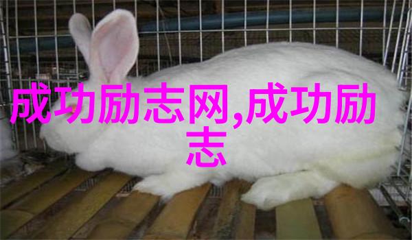 不屈之志残疾人励志征程