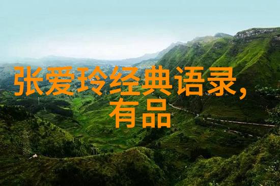 影迷们对影片主题追逐梦想的看法各异有何共鸣之处