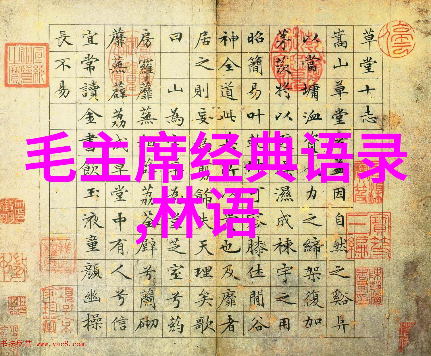 全球女性领袖辉煌足迹她们的成就与影响力