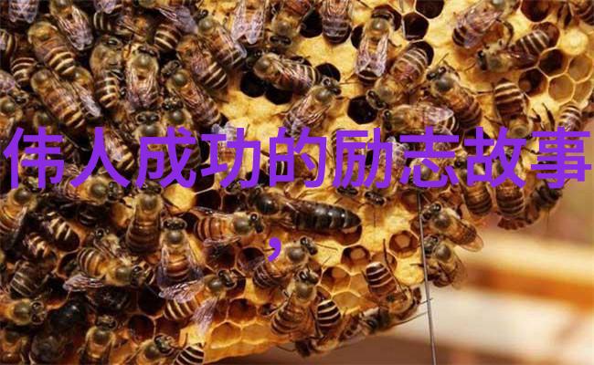 背后的光芒揭秘那些励志图片背后的故事