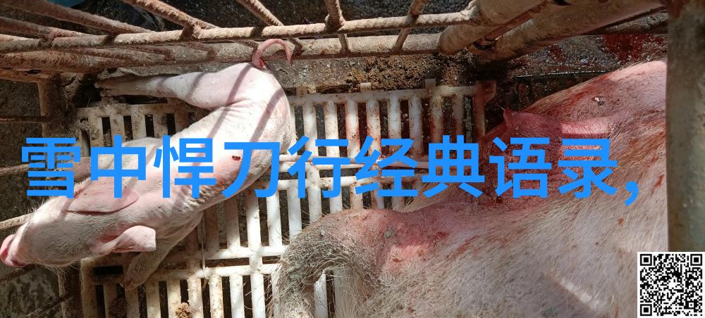 简爱经典语录关于爱苦难与成长的启示