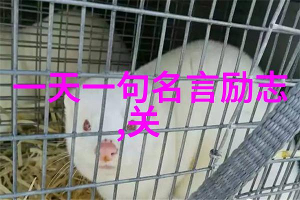 余秋雨的智慧笑话文学中的幽默哲学