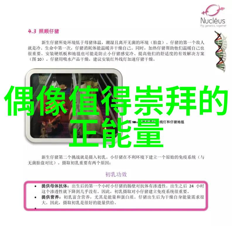 公平的报复正义回应