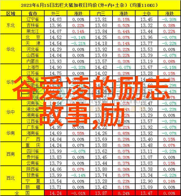 中国励志演讲人物有哪些-李稀瑞激励一代的坚韧之心