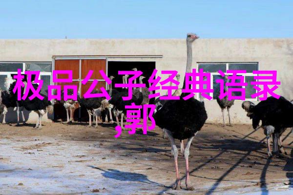 史泰龙的励志故事就像理想一样是他热爱和追求的事业
