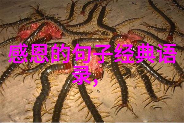 春意盎然的四月你好温暖如初的季节问候