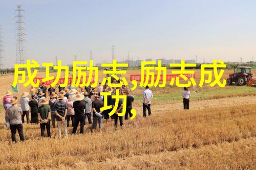 Nausica of the Valley of the Wind中的生态意识宫崎骏对环境保护的思考