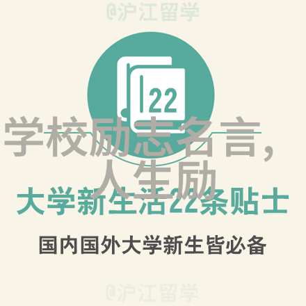 中国感动十大人物真实故事背后的坚韧与爱
