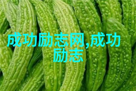 人生偶像推荐 - 挑选心灵导航者的智慧之旅