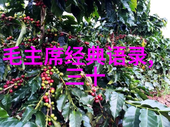 追梦人生激励人心的励志故事