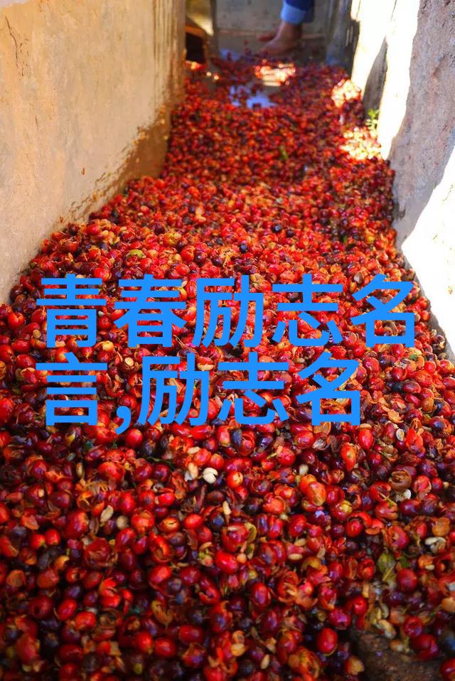 篮球梦想背后那颗不熄灭的火焰